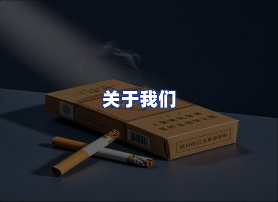 专业团队